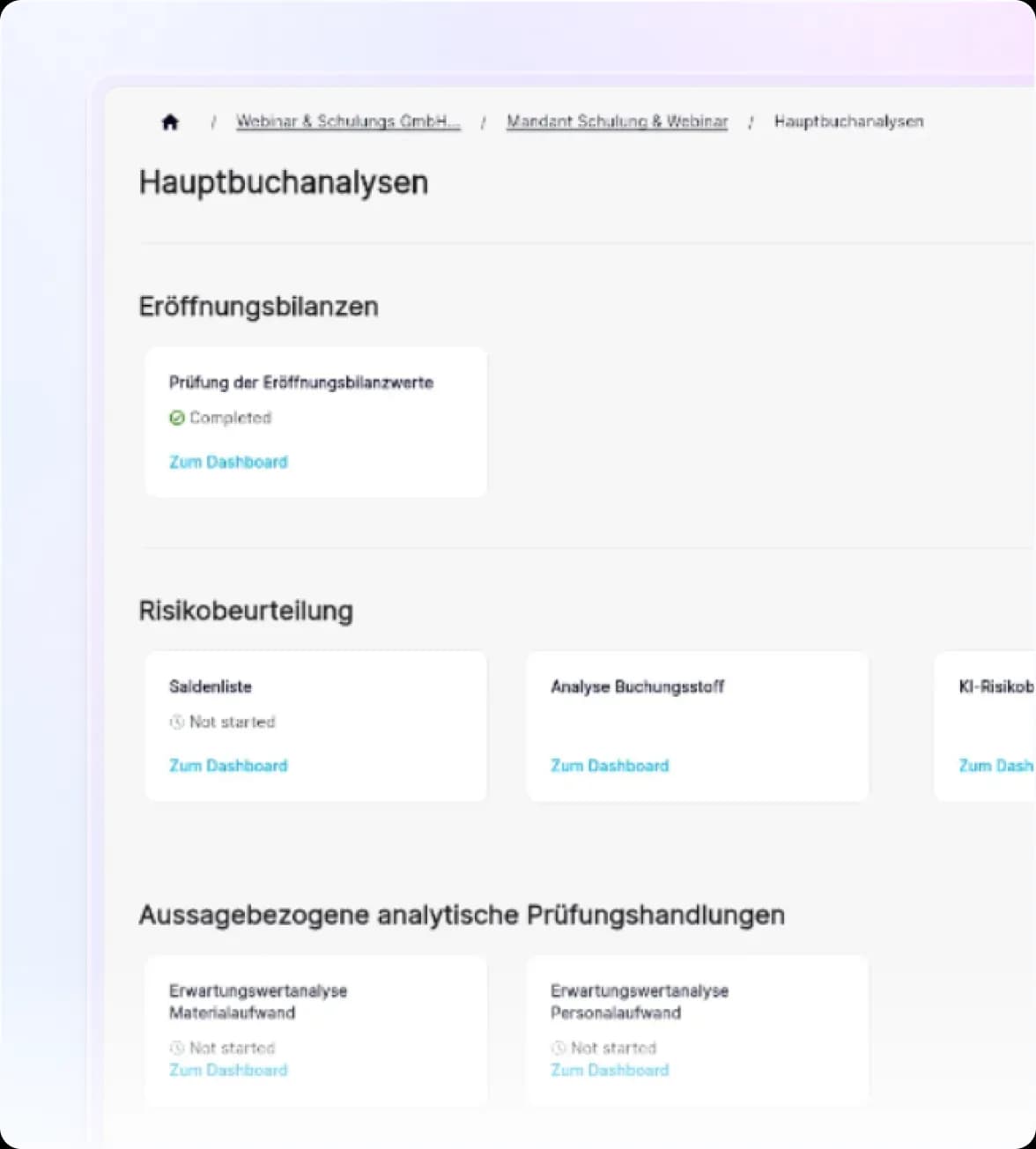 Audavis Hauptbuchanalysen